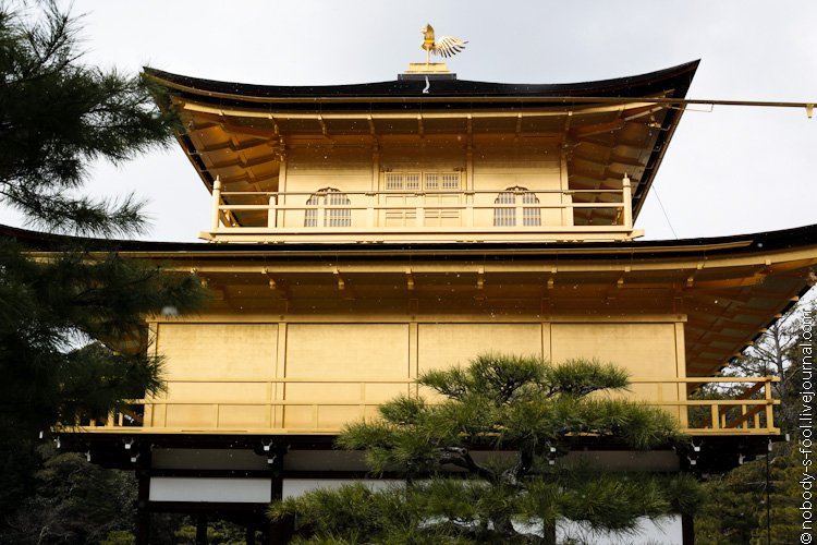 Петух на Золотом Павильоне в Киото